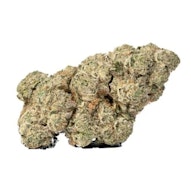 Sheeesh! - Jungle Kush (3.5g)