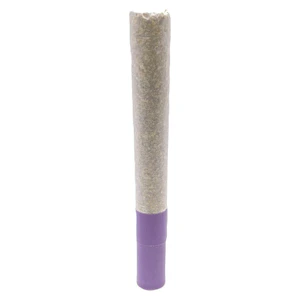 HighXotic - G.S.P Ice Water Hash Infused Pre-Roll 1x1g Hash and Kief