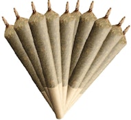 INDICA 20% PLUS 0.35G 10PK PRE-ROLLS