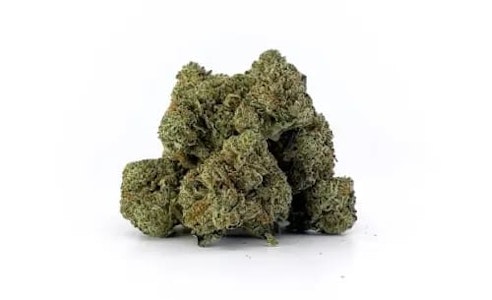 Smoker Farms - Master Kush Ultra - 7g