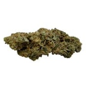 HYBRID FLOWER-GAS NASTY - 3.5