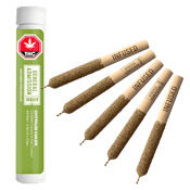 Citrus Haze Distillate Infused & Kief Coated - Citrus Sun 5 X 0.5g  Pre-Rolls