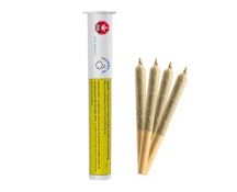 Thumbs up Indica - Chemdawg 4 x 0.5g Pre-Rolls
