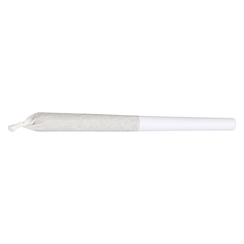 Jean Guy Pre-Roll | 1x1g