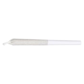 Jean Guy Pre-Roll | 1x1g