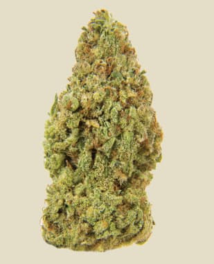 CHERRY LIME KISS - 0.5g x 3