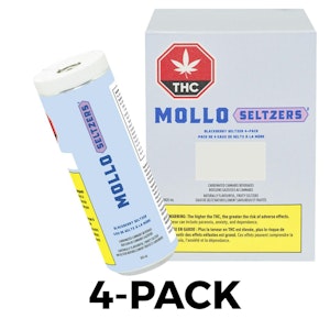 Mollo Seltzers - Multipack of 4, Wildberry Acai Seltzer 355ml Beverage