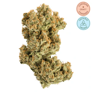 Jonny Chronic - Acapulco Gold 3.5g