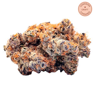 TENZO - Big Smallz 14g | High Society