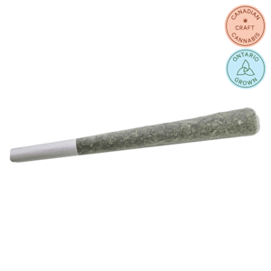 Unit 15 - Purple Octane Pre-Roll 1x1g