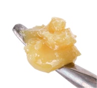 Sauce - Bubblegum Signature Live Rosin (1g)