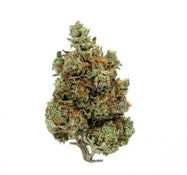 Fort 20 Farms - Bubba Kush (14g)