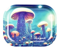 PLANET FUNGI