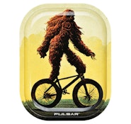 BIGFOOT STOLE MY BIKE