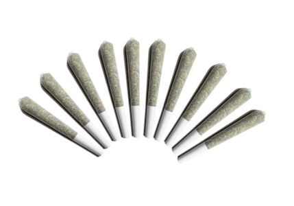 Choklit Park - Moon Puppies Pre-Rolls - 10x0.5g