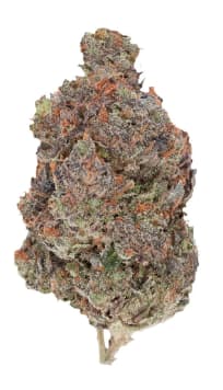Baked by PSC 7g