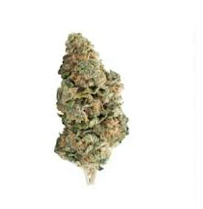 Weed Pool - Elevator - Blueberry Kush - 28g