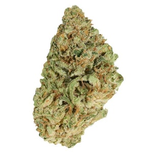 Good Supply - JEAN GUY - 28