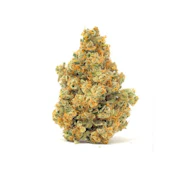 Cheap Shot 7g Sativa Dried Flower