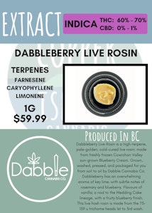 Dabble Cannabis Co. - DABBLE CANNABIS - DABBLEBERRY LIVE ROSIN