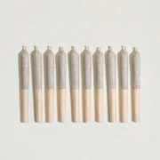 Tobies Sativa - Tangerine Toasties - 10x0.5g Pre-Rolls