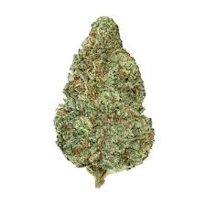 Back Forty - 14g Chemzilla - Back Forty