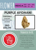28G - VERSUS - PURPLE AFGHANI