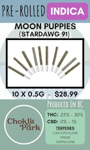 Choklit Park - CHOKLIT PARK - 10PK MOON PUPPIES PRS