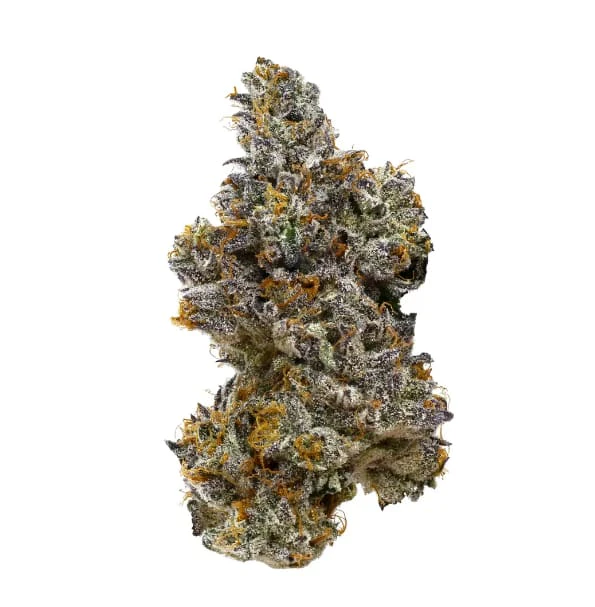Kootenay Cultivar - Tiramisu - 7g Main Image