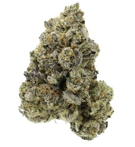 Sitka Legends - Fade To Black - 14g