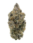 Tropical Skunk - 14g