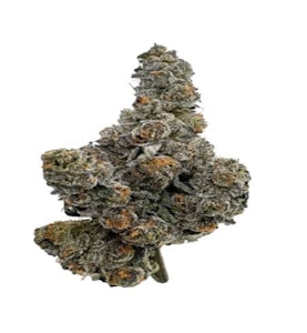 Amani Craft - Amani Craft - Gastro Pop Smalls (3.5g)