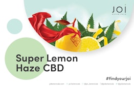 Super Lemon Haze CBD 25 x 0.5g Pre-Rolls