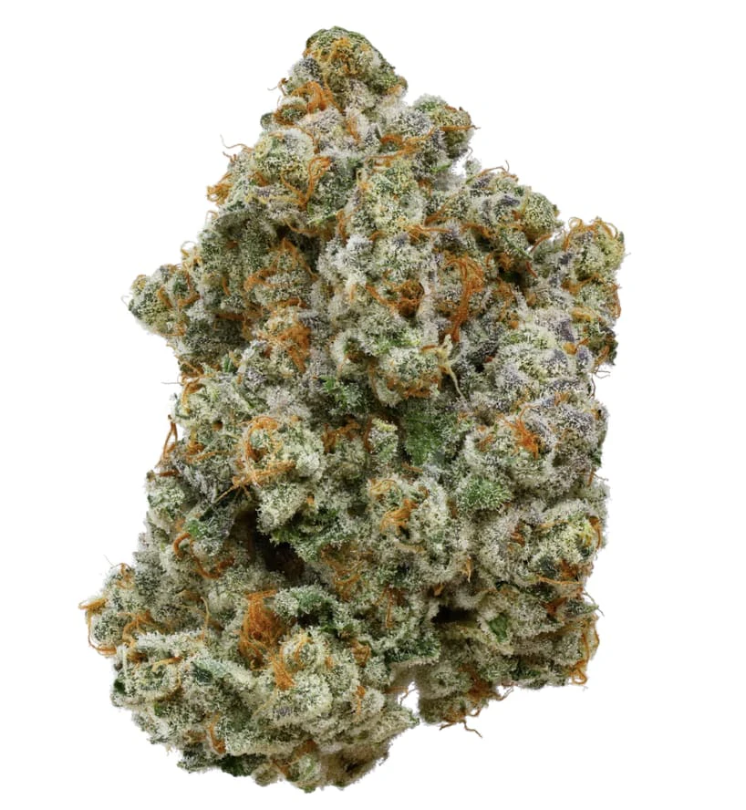 Kootenay Cultivar - KOOTENAY CULTIVAR | TIRAMISU 7g Main Image
