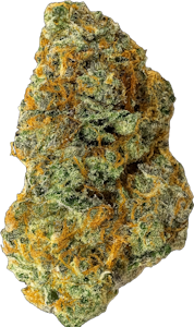 Island Genetics - Island Genetics - Swamp Water Fumes (7g)