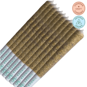 After Hours - Jamaican Dream Premium Sativa Pre-Roll 10x0.5g