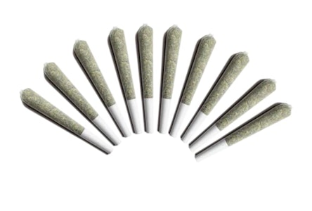 Choklit Park - Sapphire Frost Pre-Rolls - 0.5g x 10