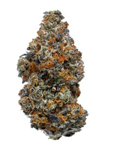 Coast Mountain Cannabis - ORGANIC GUAVA BISCOTTI | 3.5g