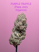 PURPLE TRUFFLE - 7G