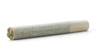 Bubble Hubba Infused Pre-Roll - 1g
