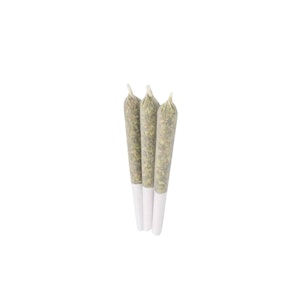 BC Weed Co. - BC Weed Co. | Frosted Strawberries Infused Pre-Rolls | 3 x 0.5 g