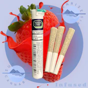 STRAWBERRY TSUNAMI - TERRA LABS - 3X0.5G