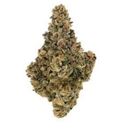 ROCKSTAR BY ALL NATIONS - 3.5G
