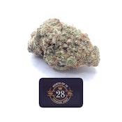 QUARTER ZIP 7G