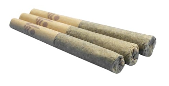 All Nations - Rockstar Pre-Rolls - 3x0.5g