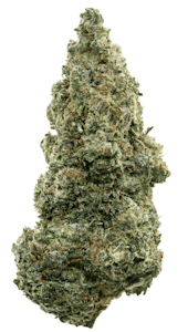 All Nations - All Nations | STO:LO HAZE | 3.5g