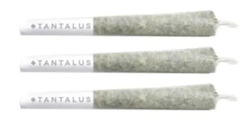 Tantalus | MORE COWBELL PRE ROLLS | 1.5G