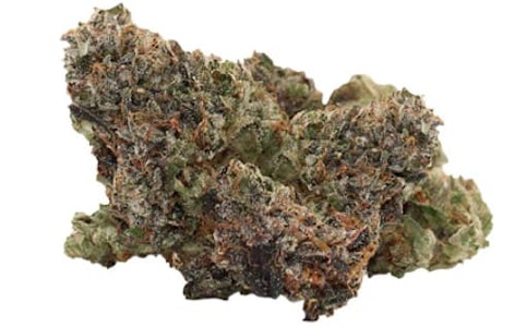 Pistol And Paris - Pistol and Paris | PINK GOO SMALLS | 3.5G