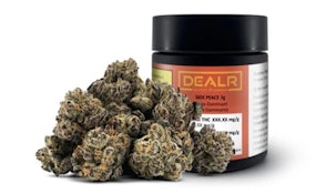 DEALR | SIDE PEACE | 7G