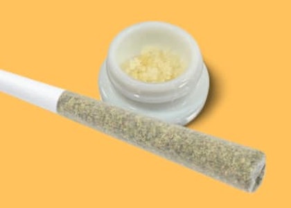 Terra Labs - IPR - Terra Labs - Frosted Oranges 1 x 1g